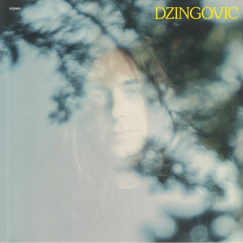 Dzingovic vinyl - dzingovic,