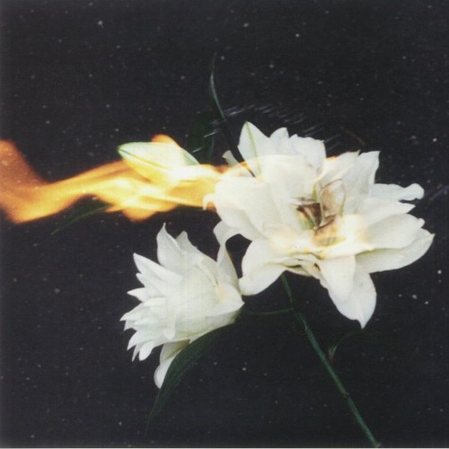 Aperture stanze clear - aperture,